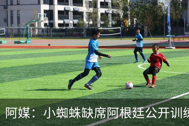 阿媒：小蜘蛛缺席阿根廷公开训练，他可能在第二场友谊赛中出场